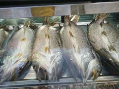 -老街冷水鱼烧烤(河堤夜市店)