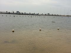 -碧海金沙