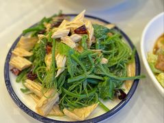 腐竹龙须菜-嘉陵楼馋嘴城(簋街总店)
