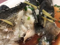 清蒸石斑鱼-三亚老渔民海鲜店