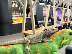 -FAIRYLAND龙族星球主题餐厅(凯丹广场店)