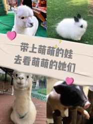 -萌宠亲子动物乐园(槐房万达店)