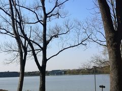 -上海月湖雕塑公园