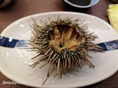 -福樱兰海鲜放题铁板烧(加州店)