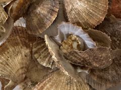 -宾朋海鲜饭庄(兴海路店)