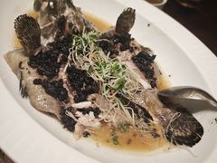 -觅唐MITONG(鸟巢店)