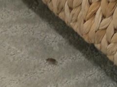 -徂徕山森林康养度假谷温泉
