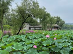 -承德避暑山庄景区