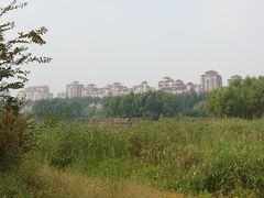 -马家湾湿地公园