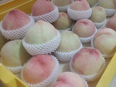 -老袁家蜜桃农场·阳山水蜜桃