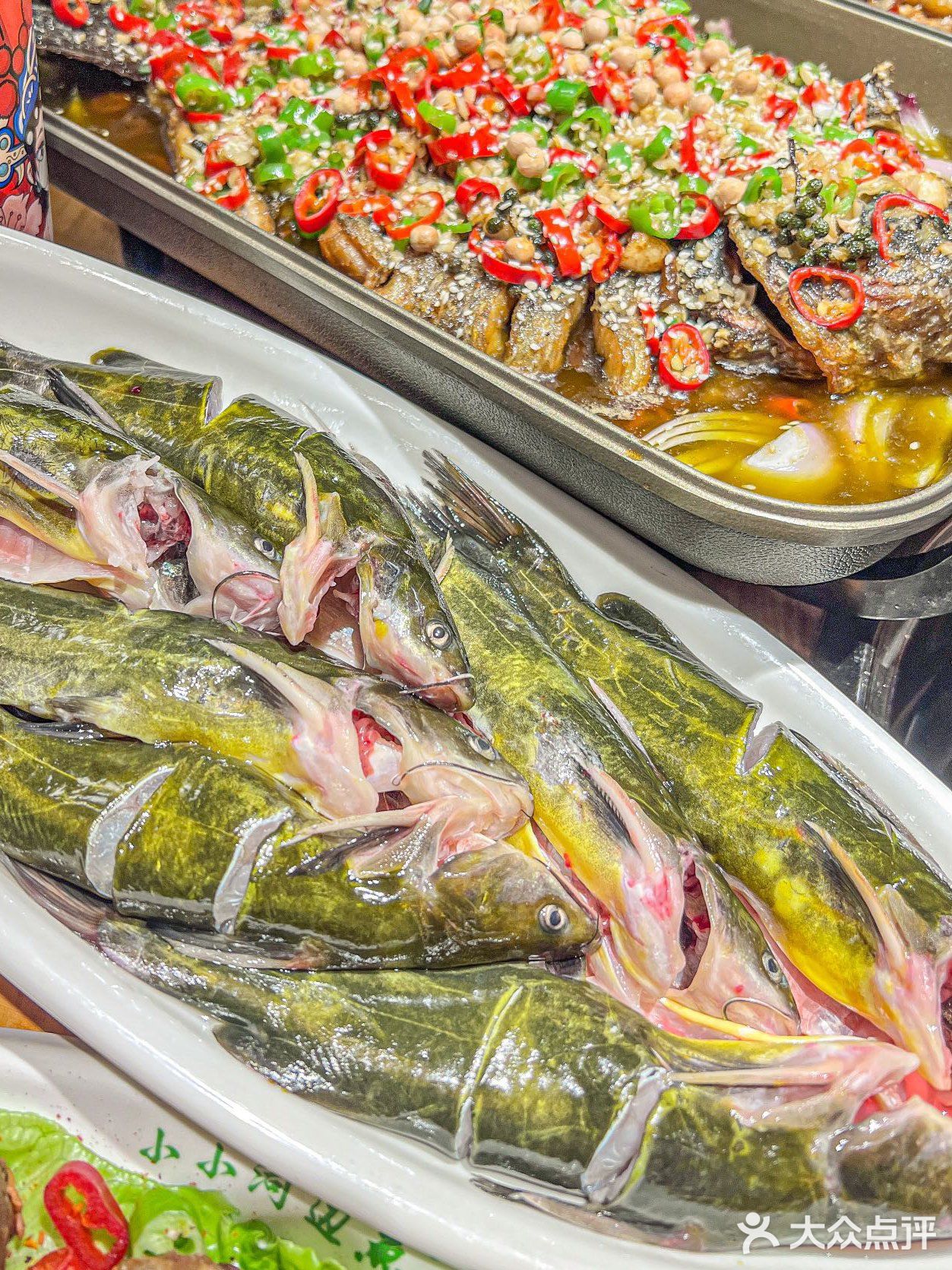 会跳舞的黄辣丁就在小小河边鱼！