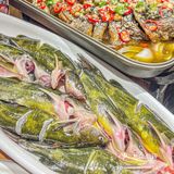 会跳舞的黄辣丁就在小小河边鱼！