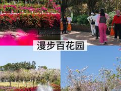 -广州莲花山旅游区