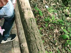 -溪口-滕头旅游景区