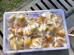 -西郊国际农产品交易中心