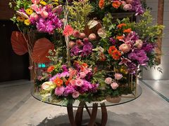 -浅深Cheersum(曹杨店)