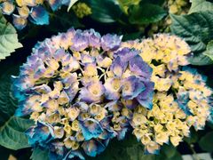 -中国工商银行(上海市徐汇支行华山路支行)