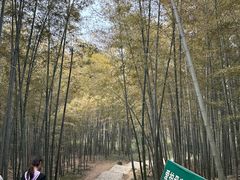 -紫金山天文台
