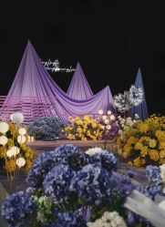 -明典婚礼策划·婚车租赁·婚纱摄影