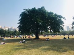 -白沙门生态公园