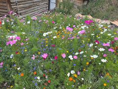 -新疆国际大巴扎