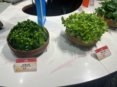 -南海渔村·空中一号
