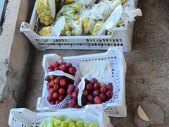 -马陆小张葡萄园农家乐