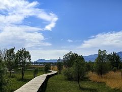 -野鸭湖国家湿地公园