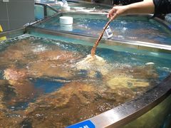 -盒马鲜生(杭州运河上街店)