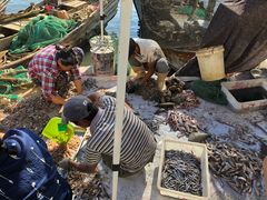 -青岛沙子口国家中心渔港