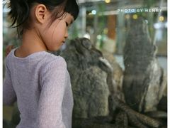 -荔城生鲜盛宴(番禺旗舰店)