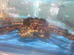 -物美超市(金宝街店)