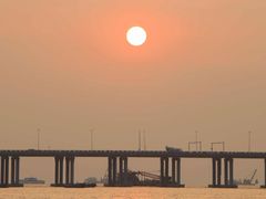 -宝安西湾红树林湿地公园