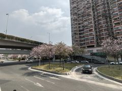 -洲头咀公园