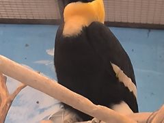 -沈阳森林动物园