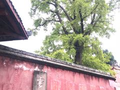 -金堂县云顶石城风景区