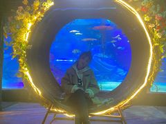 -沈阳海洋探索中心