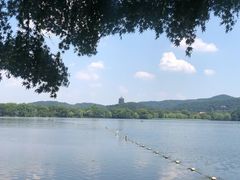-西湖国宾馆·紫薇厅