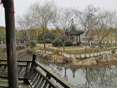 -尚贤河湿地