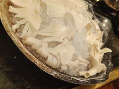 -王家渡火锅店(棕榈泉店)