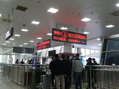 -国际邮轮中心码头(厦鼓码头)