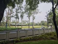 -渭滨公园