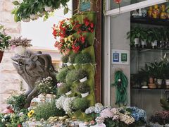 -溪岸路花鸟市场