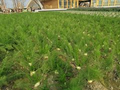 -中国天府农业博览园