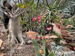 -国家植物园南园