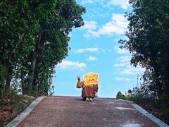 -桃花岭景区