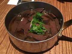 -MR鹅外