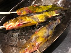 黄辣丁-王家渡火锅(金宝汇店)
