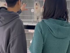 -翊宠yipet猫狗购宠庄园犬舍•猫舍