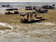 -北海金海湾红树林生态旅游区